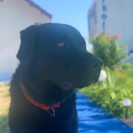 Troia ゲストハウス